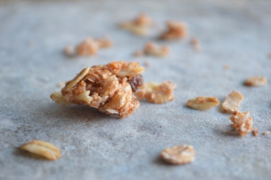 A photo of a granola cluster. Recipe and photo by That Healthy Kitchen