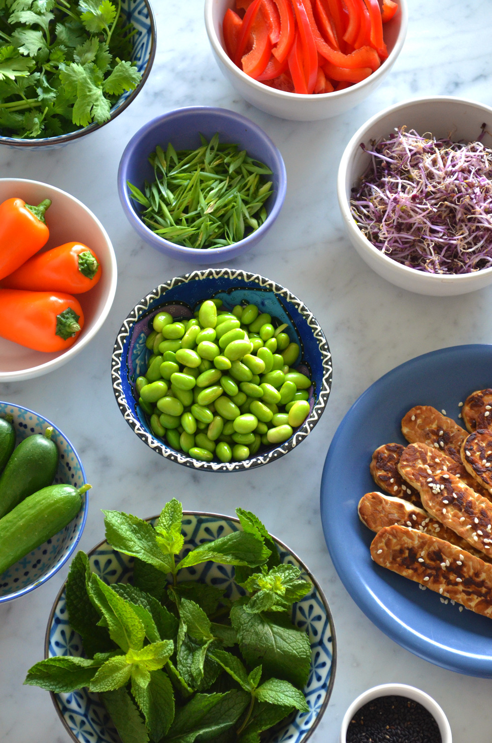 High protein vegan summer rolls